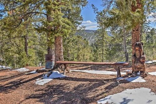 Cabin with Mtn Views - 5 Mi to Mueller State Park! image 3