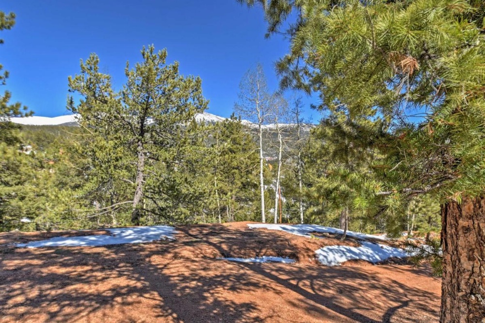 Cabin with Mtn Views - 5 Mi to Mueller State Park!
